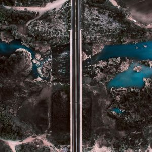 Road Crossing Chaos - Vertical-Color-Full